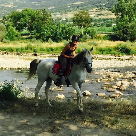 Allotjament Rural La Torre Del Manresa Bed & Breakfast *